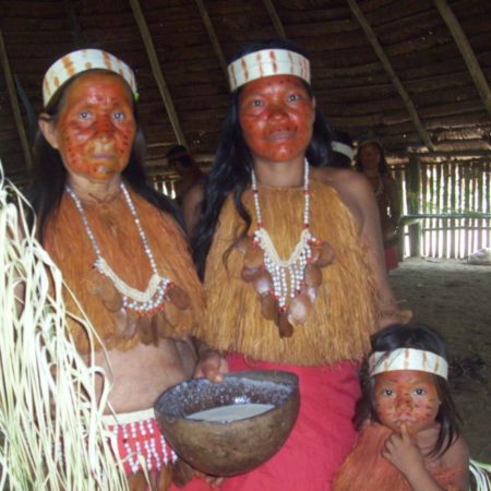 THE AMAZON ON 3 SOUTH AMERICAN COUNTRIES